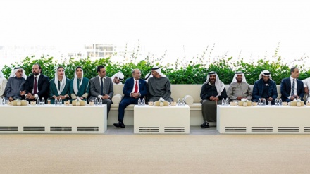 د پاکستان ولسمشر د متحده عربي اماراتو له ولسمشر سره وکتل