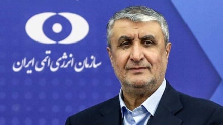 Eslami: Ninguna de las actividades de la Organización de Energía Atómica de Irán se han detenido