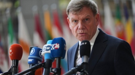 آلمان خواستار اصلاح شورای امنیت سازمان ملل شد