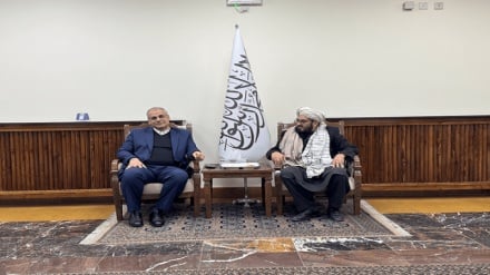 تبادل نیروی کار و توسعه آموزش‌های فنی؛ محور رایزنی ایران و افغانستان 