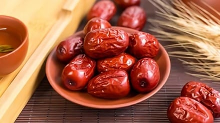 Традиционная ирано-исламская медицина | Жожоба (унаби); красный фрукт для расслабления и исцеления