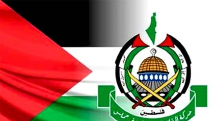 গাজায় ৩৭টি আন্তর্জাতিক সাহায্য সংস্থার লাইসেন্স বাতিল: আল-আলম