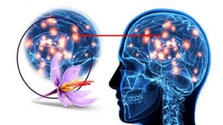 فواید زعفران برای حافظه و اعصاب