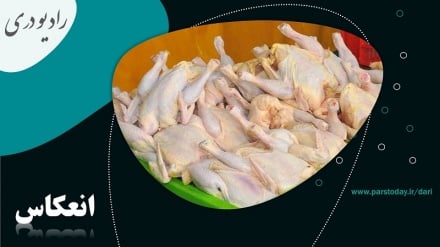 صادرات گوشت از ایران به افغانستان 