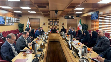 Իրանի և Ռուսաստանի մաքսային պատվիրակությունները քննարկել են երկկողմ առևտրի խթանման ուղիները