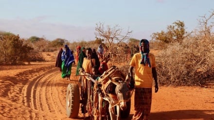 WFP: Somalia inakabiliwa na hatari ya baa la njaa 