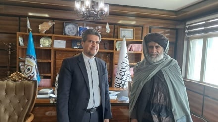 تاکید ایران و افغانستان بر توسعه همکاری‌ها در بخش صحت و کشاورزی 