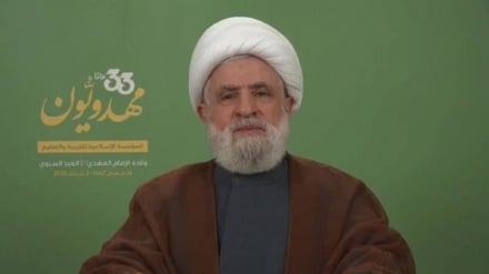 Nəyim Ğasim: Mığovimət siloh bə kəno bıno israyil bə ıştə hədəfi bərəse