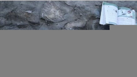 АҚШ ва сионистик режимнинг ваҳшиёна ҳужумида Миноб шаҳрида ўнлаб ўқувчи қизлар шаҳид бўлди