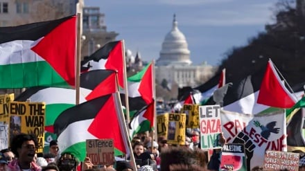 تغییر تاریخی در افکار عمومی آمریکا؛ افزایش حمایت از فلسطین