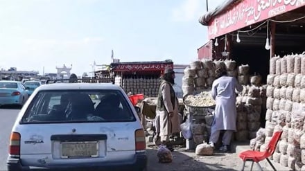 کارآفرینی برای 500 جوان در شهرداری قرغه‌یی ولایت لغمان