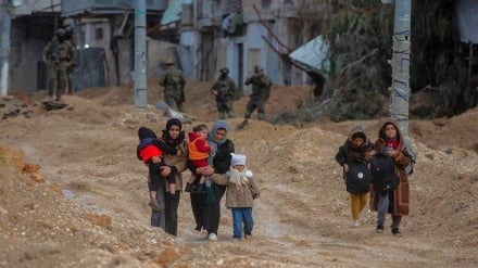 د فلسطین ۸۸۰ کورنۍ د صهیونیسټانو د بریدونو په وجه کډوالې شوي دي