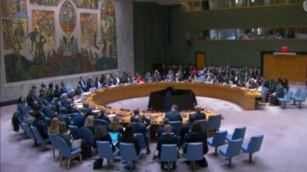 Совет Безопасности ООН призывает к миру в Газе и сдерживанию нестабильности на Западном берегу