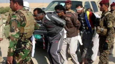 ۲۵ تبعه افغانستانی در میان اعضای داعش از سوریه به عراق منتقل شدند