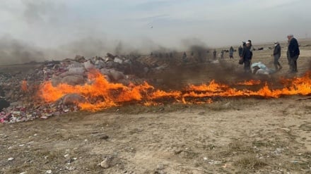 ریاست صحت عامه بلخ صد تُن دوا و موادغذایی تاریخ‌گذشته را حریق کرد