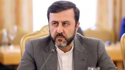 Gharibabadi: Quienes se proclaman defensores de los derechos humanos son los principales transgresores de los derechos del pueblo Irán