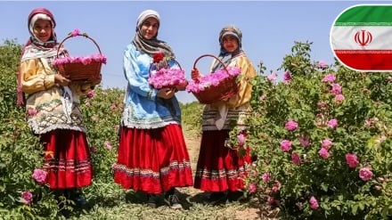 اخبار | رشد ۵۰۰ درصدی تولیدات کشاورزی ایران در چهار دهه/ لاوروف: پرونده اپستین چهره شیطانی غرب را برملا کرد
