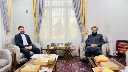 تأکید بر توسعه همکاری‌های فرهنگی میان ایران و افغانستان