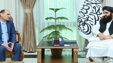تأکید بر گسترش روابط دوجانبه در دیدار سفیر تاجیکستان با وزیر خارجه طالبان