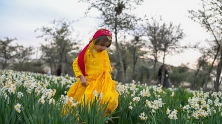 ده رویداد ده عکس | از جشنواره گل نرگس در جنوب ایران تا اعتصاب کشاورزان در پایتخت یونان