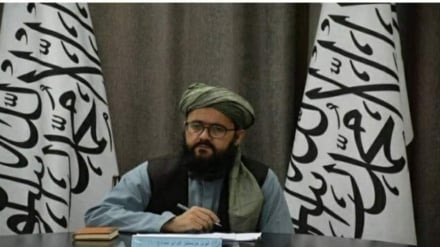 سرکنسول طالبان در مشهد: زمینه برای سرمایه‌گذاری در افغانستان فراهم است
