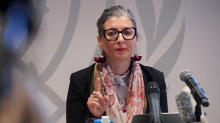 אלבנזה: האנטישמיות, הונאה גדולה, וחימוש ישראל חייב להיפסק