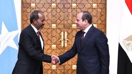 Rais wa Misri: Tunaunga mkono umoja wa ardhi ya Somalia na kupinga uingiliaji kati