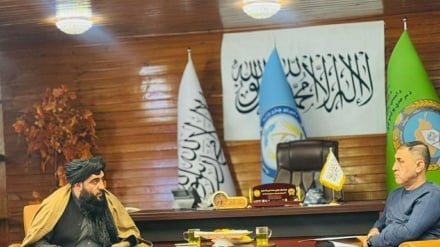 Афғонистон ва Ўзбекистон чегара хавфсизлигини мустаҳкамлашга интилмоқда