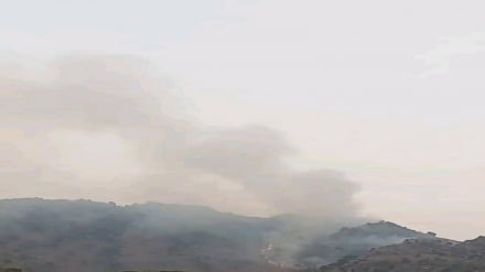 تبادل آتش میان مرزبانان افغان و پاکستانی در ولایت ننگرهار