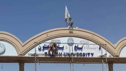 رهبر طالبان: مسؤولان از اقدامات تنش‌زا در حوزه مسایل زبانی خودداری کنند