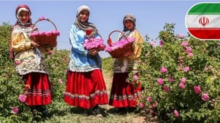 Иранның ауыл шаруашылығы өндірісінің 40 жылда 500%-ға өсуі; Лавров: Эпштейн ісі Батыстың зұлым жүзін ашты 