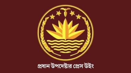 ভোট পর্যবেক্ষণে ঢাকায় ৩৯৪ আন্তর্জাতিক পর্যবেক্ষক, ১৯৭ বিদেশি সাংবাদিক