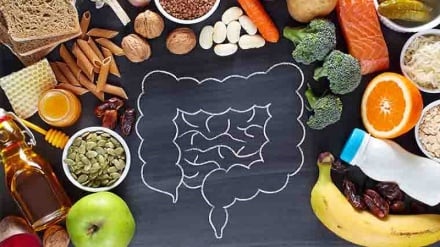 رازهای طلایی هضم غذا؛۱۰تکنیک ساده برای گوارش بی‌دردسر