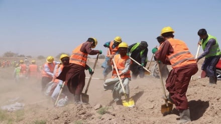 بحران بیکاری در هرات؛ ضرورت همگرایی برای اشتغال‌زایی