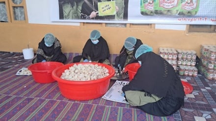 کارآفرینی زنان در ننگرهار؛ حمایت یک خانم از ده بانوی افغان