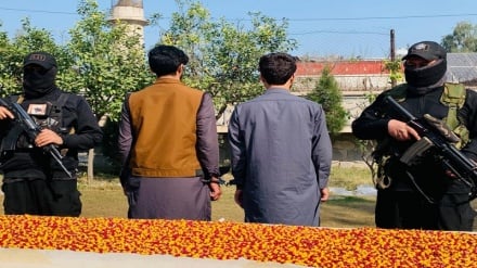 مسئولان امنیتی: دو فروشنده مواد‌مخدر در جلال‌آباد بازداشت شدند 