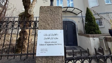 اختلاف نظر بر سر اخراج افغان‌ها؛ دانمارک با طالبان وارد مذاکره شد