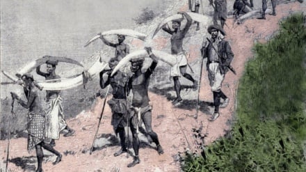Kanlı Fildişi Yolları: Afrika Ormanlarından Avrupa Aristokrasisinin Salonlarına Kadar