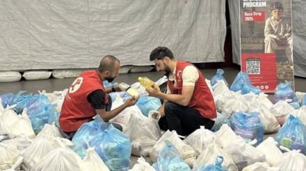 Dari Kanada hingga Gaza, Aksi Solidaritas untuk Palestina