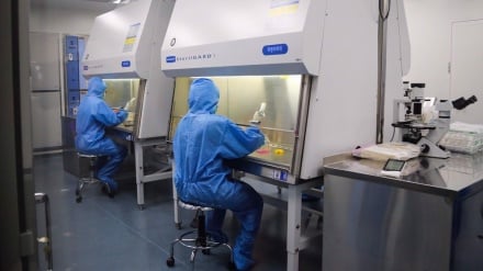 Iran yaingia kwenye klabu ya mataifa yenye bidhaa za juu za tiba ya seli