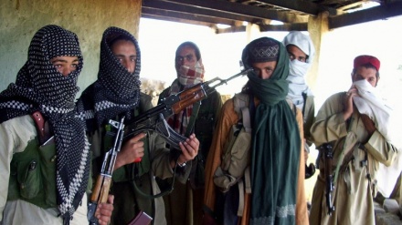 ملګري ملتونو د تحریک طالبان پاکستان د حملو په هکله د اسلام اباد  د اندیښنې ملاتړ وکړ