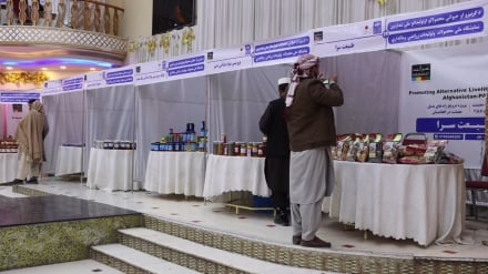 نمایشگاه ملی تولیدات زراعی و مالداری در مزارشریف برپا شد