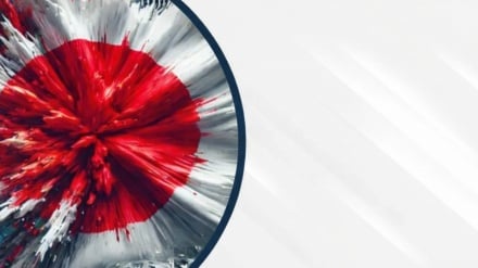 Frode da record in Giappone; allarme sulla diffusione della 