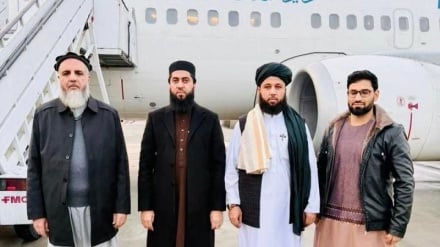 سفر رئیس تنظیم ادویه طالبان به ترکیه؛ مذاکره برای تسهیل واردات و تولید دارو