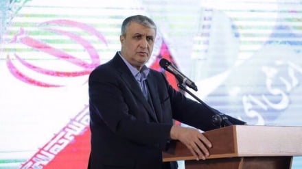 নিষেধাজ্ঞা সত্ত্বেও ইরানের অগ্রগতি 'অলৌকিক, অসাধারণ': মোহাম্মাদ ইসলামি