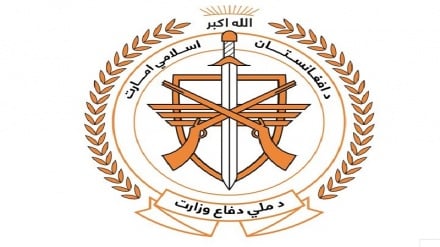 طالبان ارتباط عامل انتحاری انفجار پاکستان را با افغانستان رد کرد