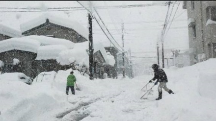 په جاپان کې د درنې واورې له کبله ۳۰ کسان مړه شوي