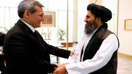 تلاش طالبان برای راه‌اندازی پروژه تاپی