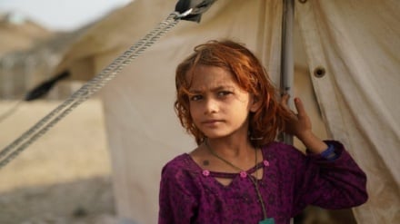 ملګري ملتونو په ۲۰۲۵ کال کې څه باندې ۵۰۰ زرو ورستانه  شویو افغان کډوالو سره مرسته کړې ده