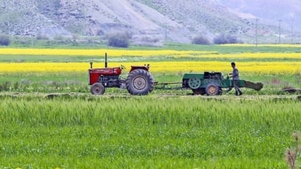 Urumiye Gölü kıyısında ekim modelinin değiştirilmesi, su kaynaklarının canlanmasının anahtarı